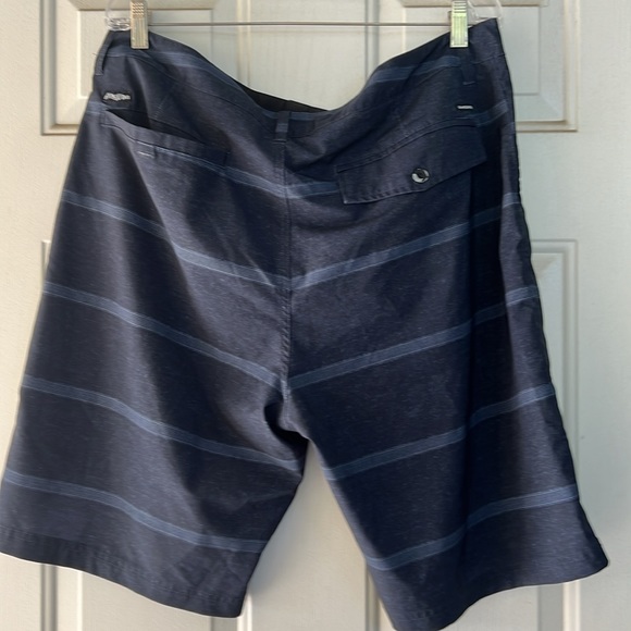 QuickSilver Amphibian shorts - Picture 4 of 6